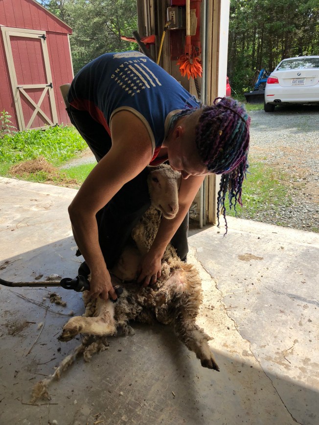 CE0ADC0E-6C31-45B3-8166-F6D22E8B4911