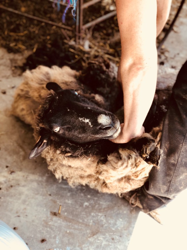 D7C124D7-6C3C-4EED-9268-293DBD6C493D