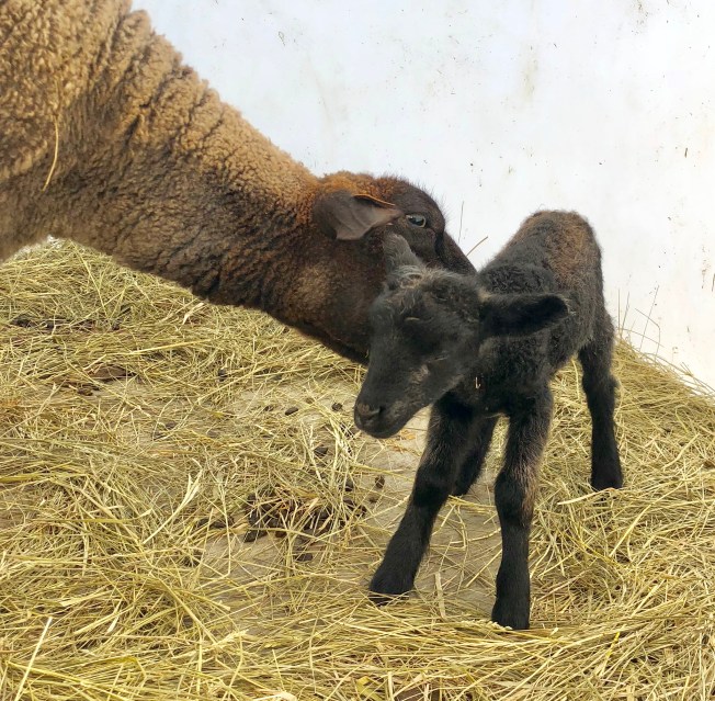 004C6B85-D6CE-459A-AFE9-DDF0115B5765