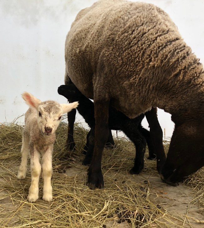 167135DA-C3A7-40F7-BD27-1E15002F646B