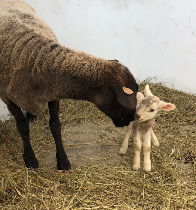 17A2DC34-D999-4566-B5A4-9B11E53FC9A7