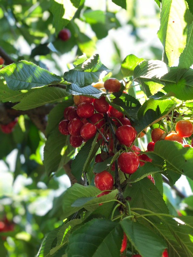 1B29C381-BE97-4081-9350-966E46A93B1D