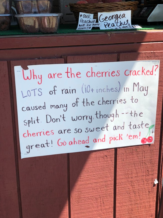 30CACE00-4F0E-4445-A636-9D156BDAAC47