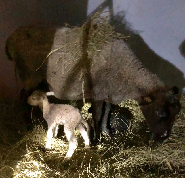 526498A8-EF47-4125-9FF0-26C4789B26AB