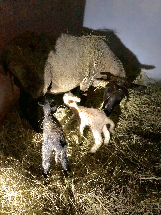 626612C3-27A6-4F08-A548-80F139E914D5