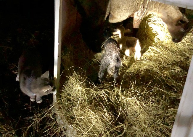 83D16B27-5FF6-4616-9CF7-EC7A0718BC99