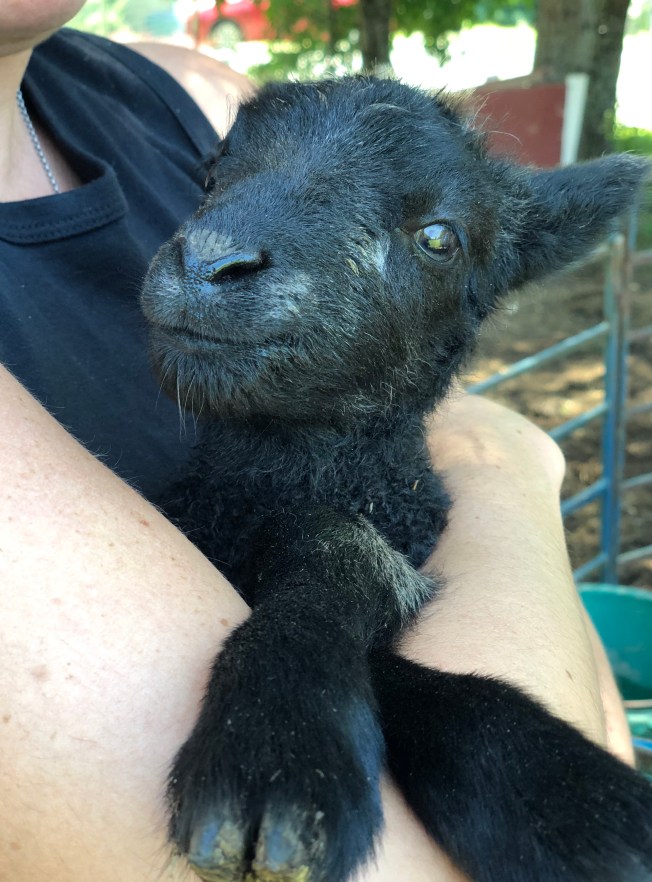 A2DBB347-0C55-4E69-AF21-032DF172F69D