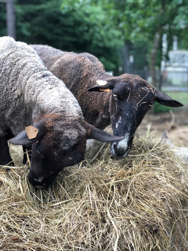 D4573A17-3449-4312-BBC9-1D63B4D1A069