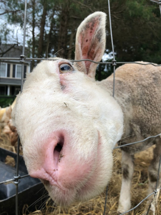 F60FE9CE-215C-41E4-9771-7CF57D8B8CA9