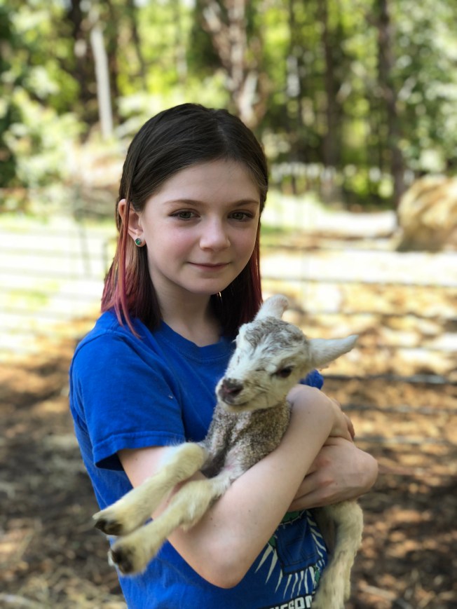 FE655B6C-2BE6-47B0-A507-A2C69F72D548